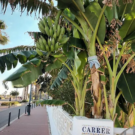 شقة Torremar